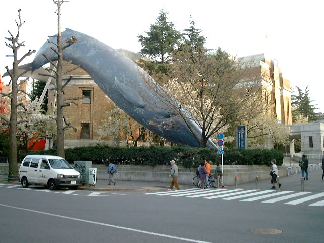 UT Museum Koishikawa Branch